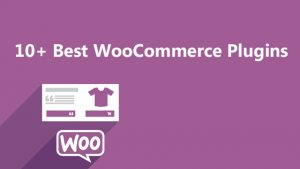 Best WooCommerce Plugins for Your Online Store